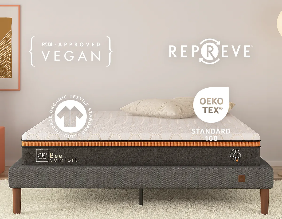Cama europea 2 plazas Premium base dividida patas + respaldo